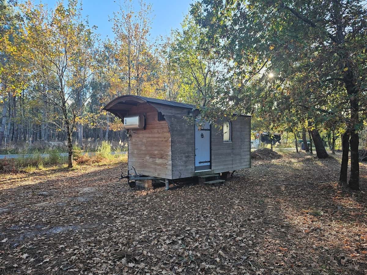 La roulotte en bois au toit arrondi, au soleil d'automne dans la forêt de pins